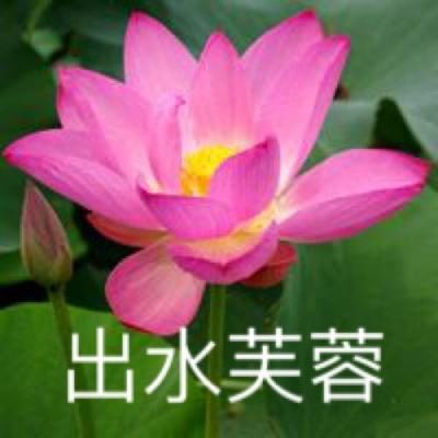 王者荣耀王者租客app(暂未上线)v1.0.0 安卓版
